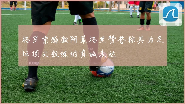 格罗索感激阿莱格里赞誉称其为足坛顶尖教练的真诚表达