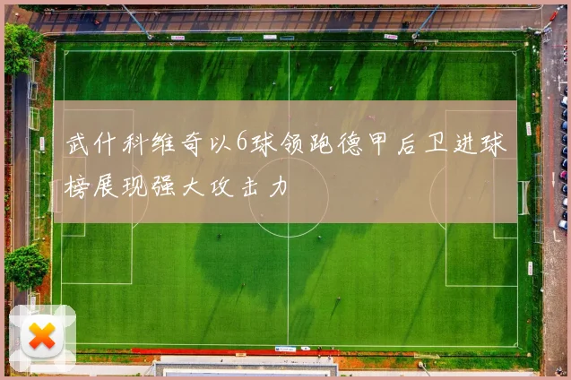 武什科维奇以6球领跑德甲后卫进球榜展现强大攻击力